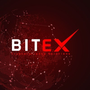 Bitex Global XBX Coin